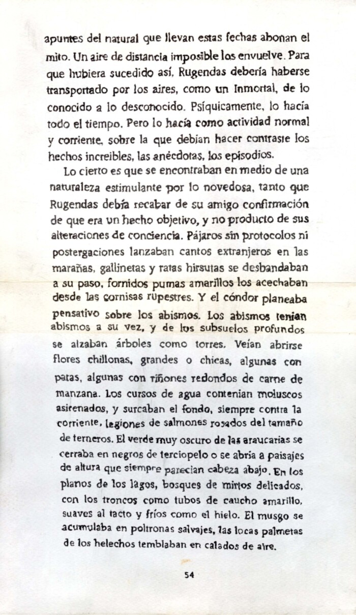 [VACÍO]