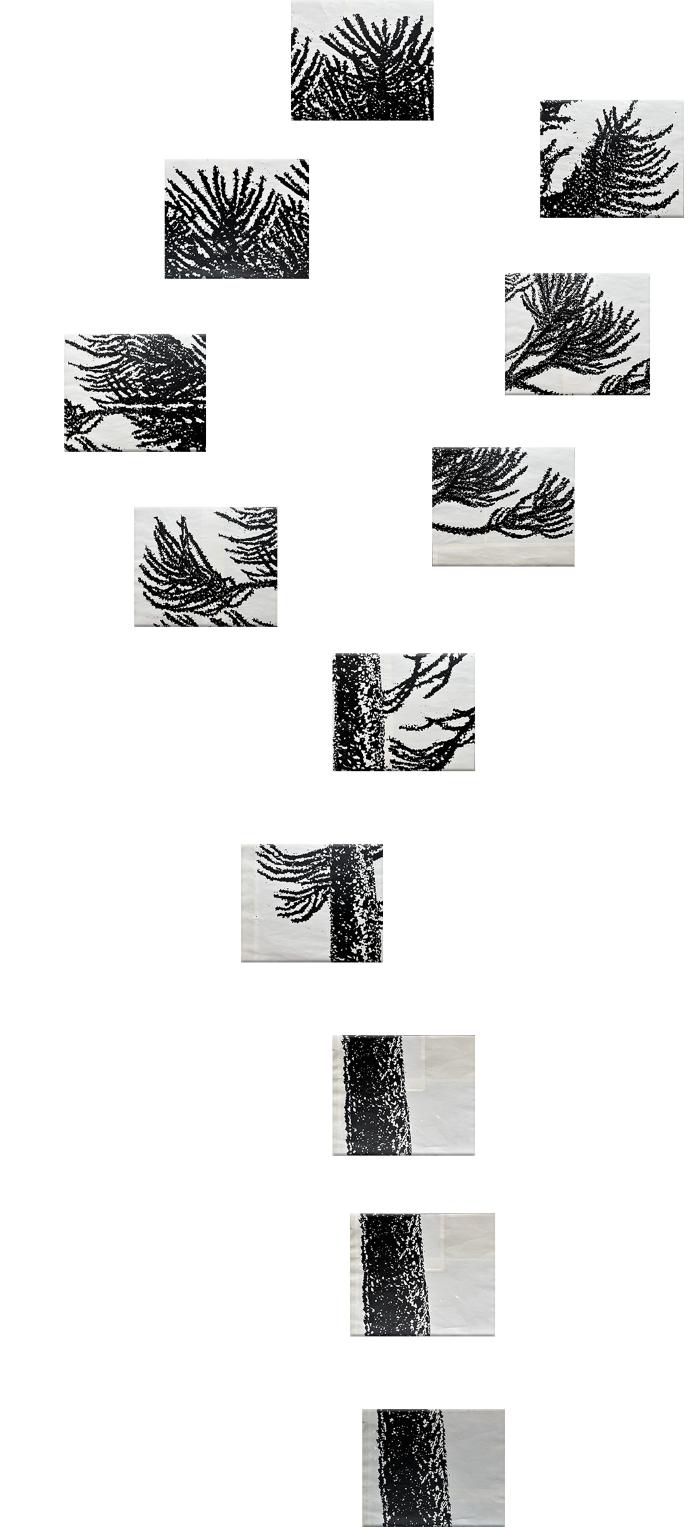 [BLANK]